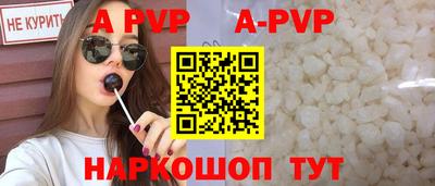 спиды Гатчина