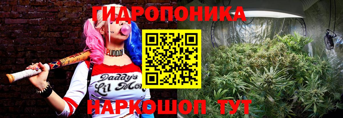 Канабис план Новоалтайск